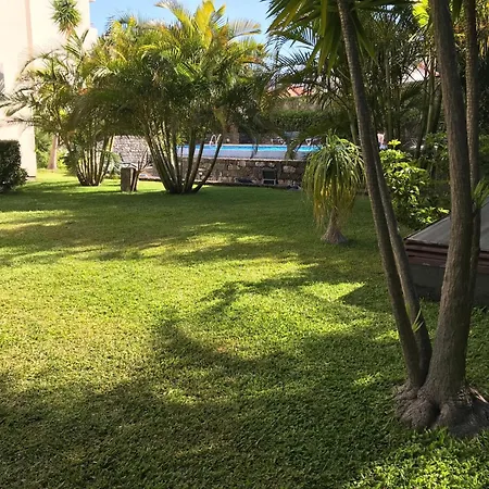 Apartment Mit Pool By Interhome Funchal (Madeira)